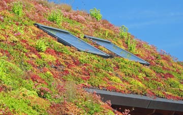Slough Hill living roof systems